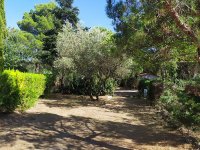 Camping l’Oliveraie