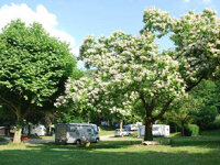 Camping le Bois de Cornage