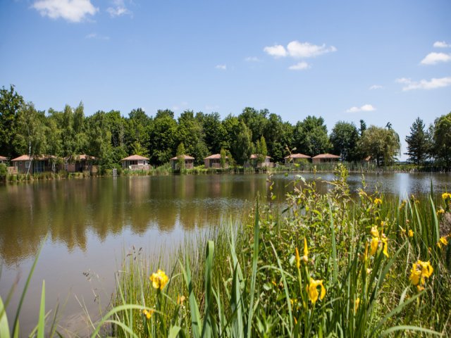 Castel les Bois du Bardelet