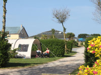 Flower Camping Utah Beach