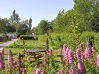 Camping La Petite Forêt