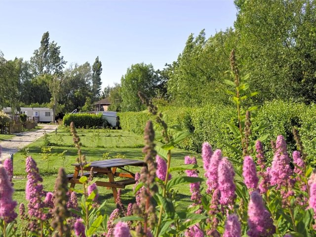 Camping La Petite Forêt