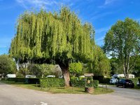 Camping Paquier Fané