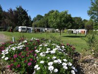 Flower Camping le Rompval