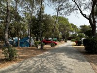 Camping La Pierre Verte