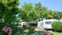 Camping l'Oasis du Verdon