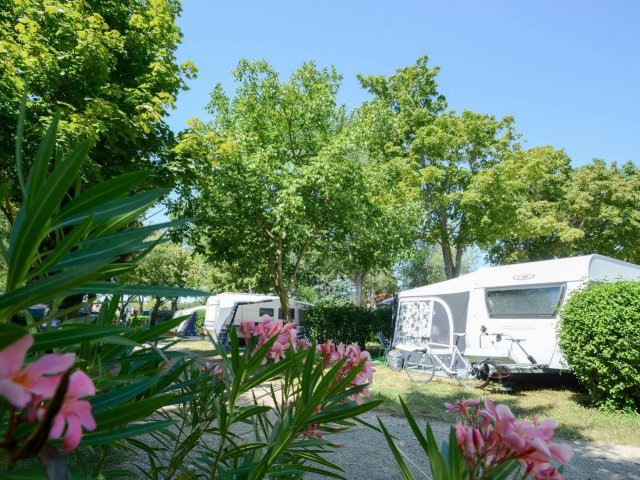 Camping l'Oasis du Verdon