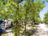 Camping les Chênes Blancs