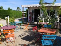 Camping la Mouette Cendrée
