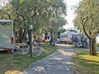 Camping Sikia