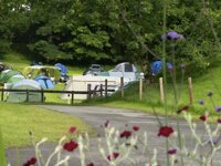 Westport House Caravan & Camping Park