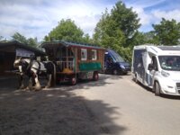 Kilkenny Camping - Tree Grove