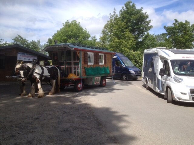 Kilkenny Camping - Tree Grove