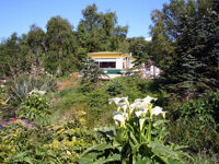 Beara Camping The Peacock