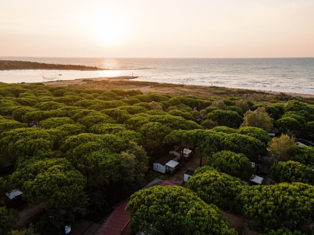 Camping Waikiki