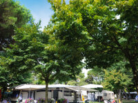 Camping Village Al Boschetto