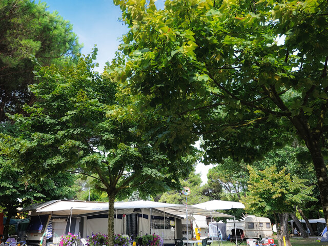 Camping Village Al Boschetto