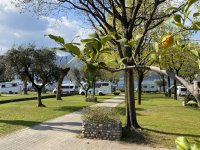 Camping Punta d’Oro