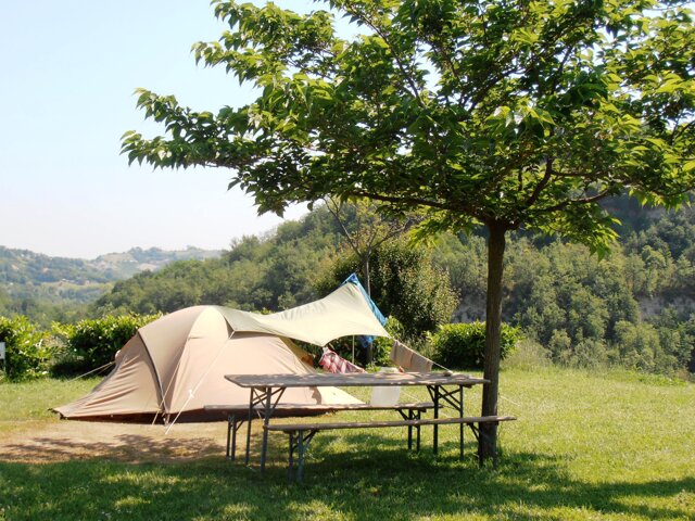 Agricamp Picobello