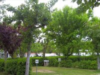 Camping la Chiocciola