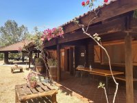 Camping Falterona