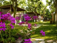 Villaggio Camping Delle Rose