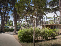 Camping Park Albatros