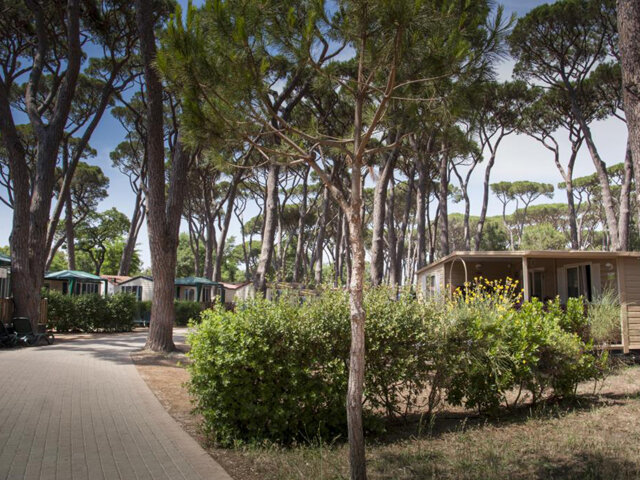 Camping Park Albatros