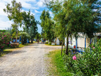Camping Tuscia Tirrenica