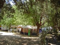 Camping Internazionale Castelfusano