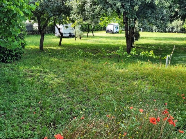 Camping Zeus