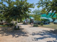 Agricampeggio & Glamping Torre Sabea