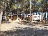 Villaggio Camping Lungomare