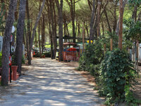 Camping Calabrisella