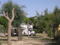 Nausicaa Camping