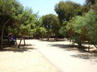 Camping Internazionale Nettuno