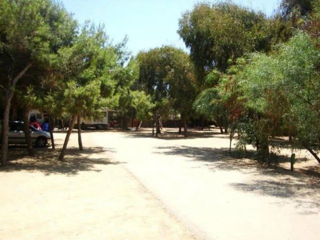 Camping Internazionale Nettuno