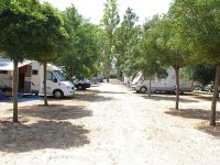 Camping Cigno Bianco
