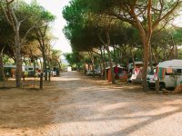 Camping Torre del Porticciolo