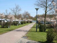 Siblu Camping de Oase