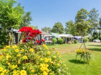 Camping De Spaendershorst