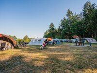 Camping de Hondsrug