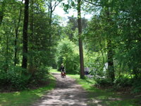 Camping Diever