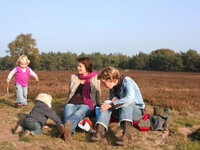 Molecaten Park De Koerberg