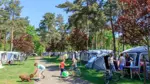 camping mcke Tarp Fly Mckennetz  Bildschirmhaus Hngematte fr ultimativen Schutz