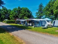 Camping ’t Wisentbos