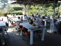 Camping Vogelenzang