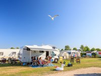Camping Julianahoeve