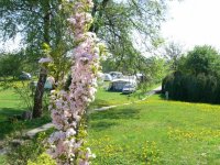 Camping Browarny