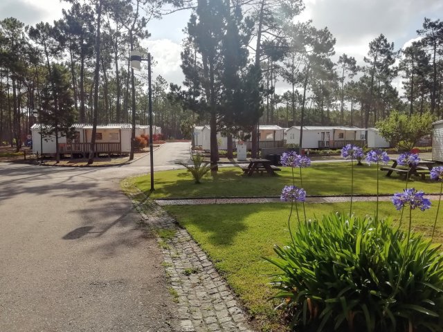 Orbitur Camping Vagueira